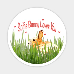 Some Bunny Loves You Magnet